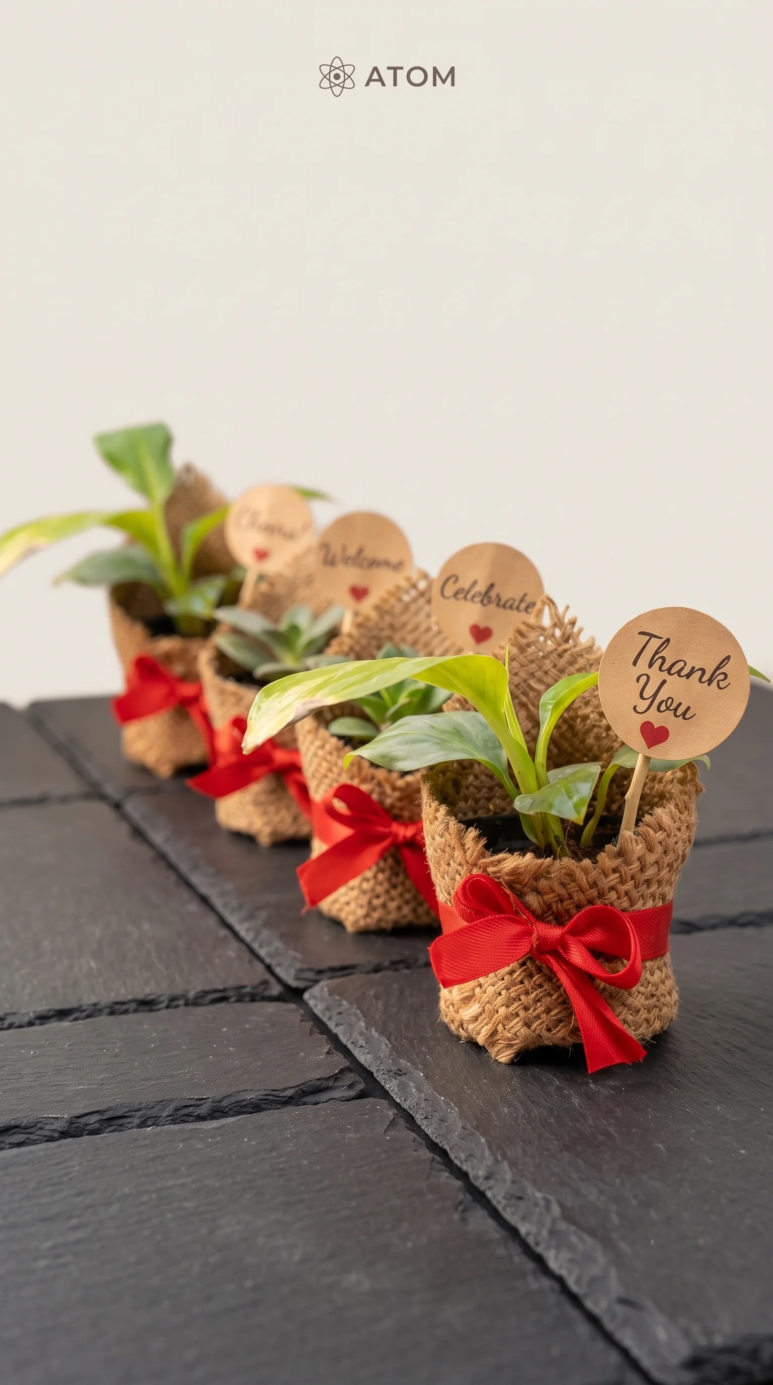 ATOM custom branded corporate gifting planters in Pune