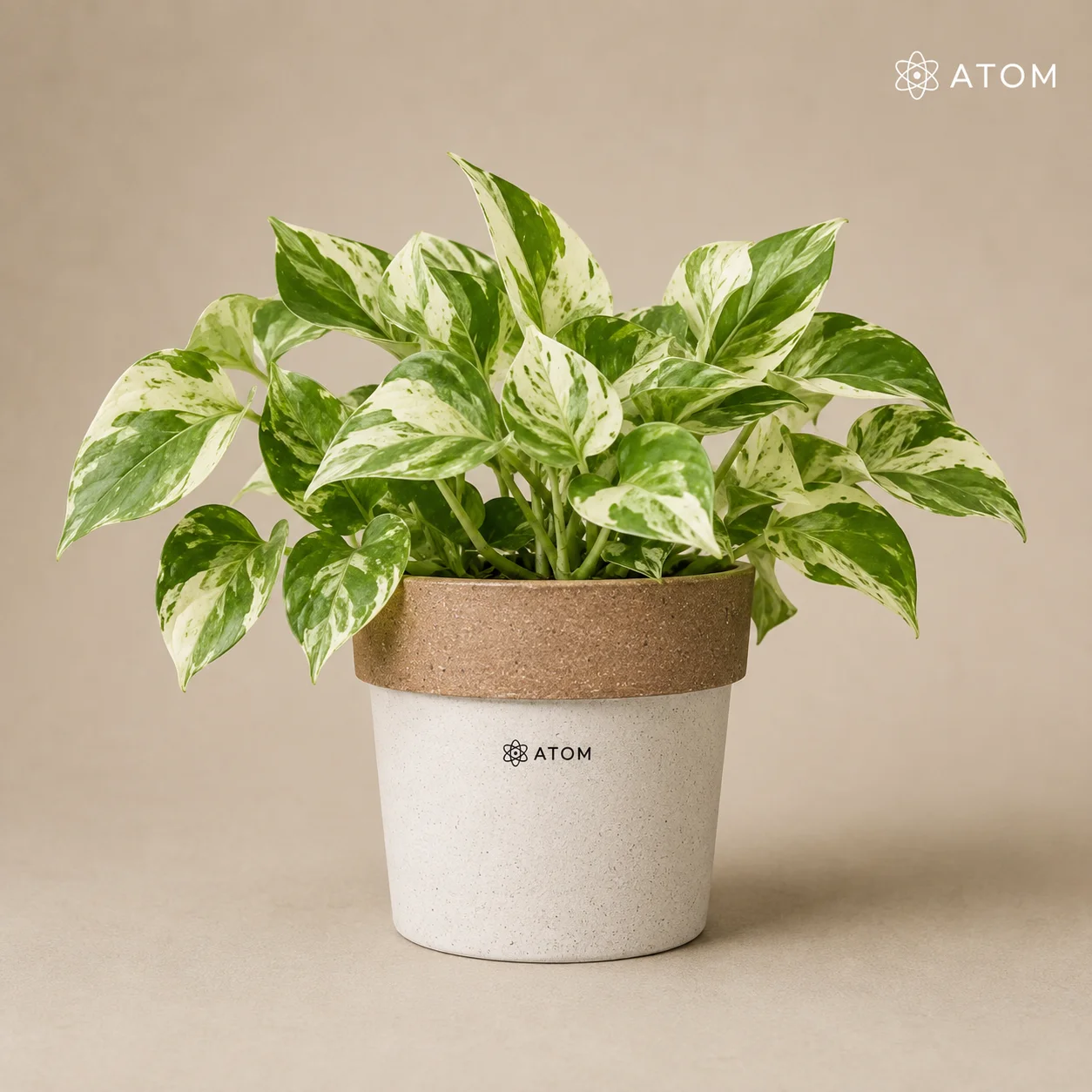 Arty Planter planter