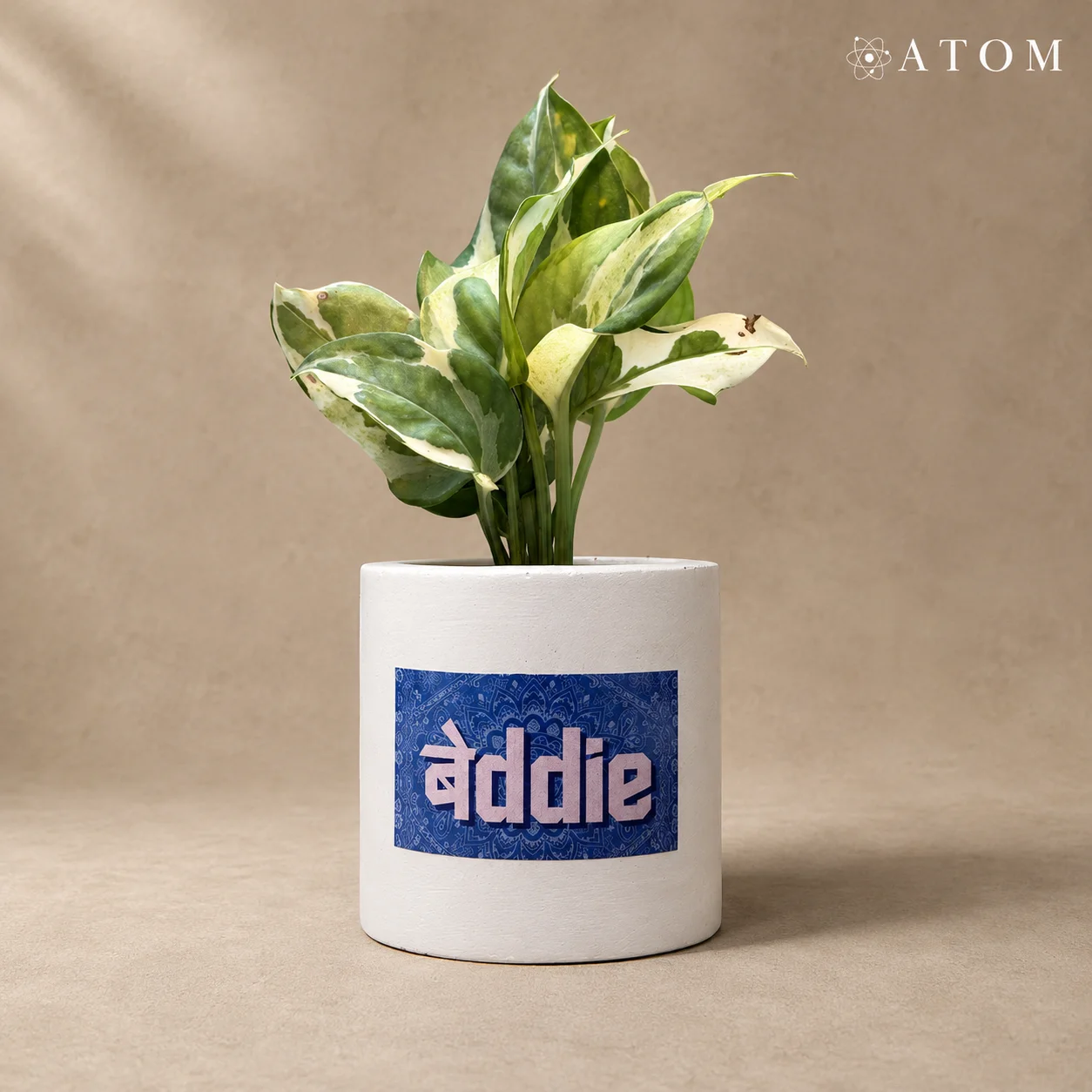 बेddie planter