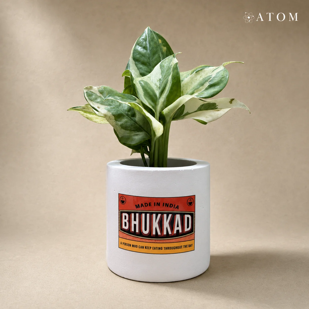 Bhukkad planter