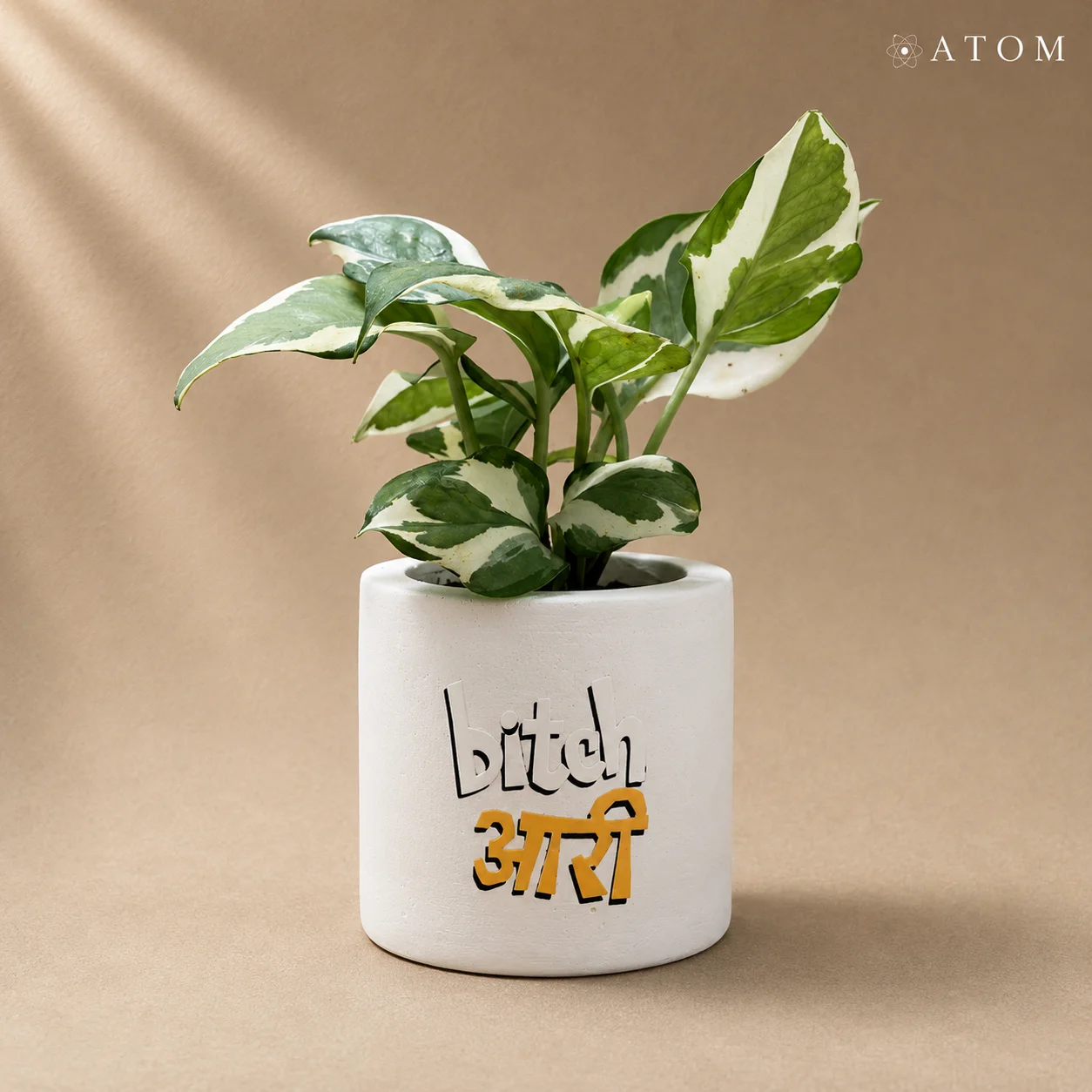 Bichari Planter planter