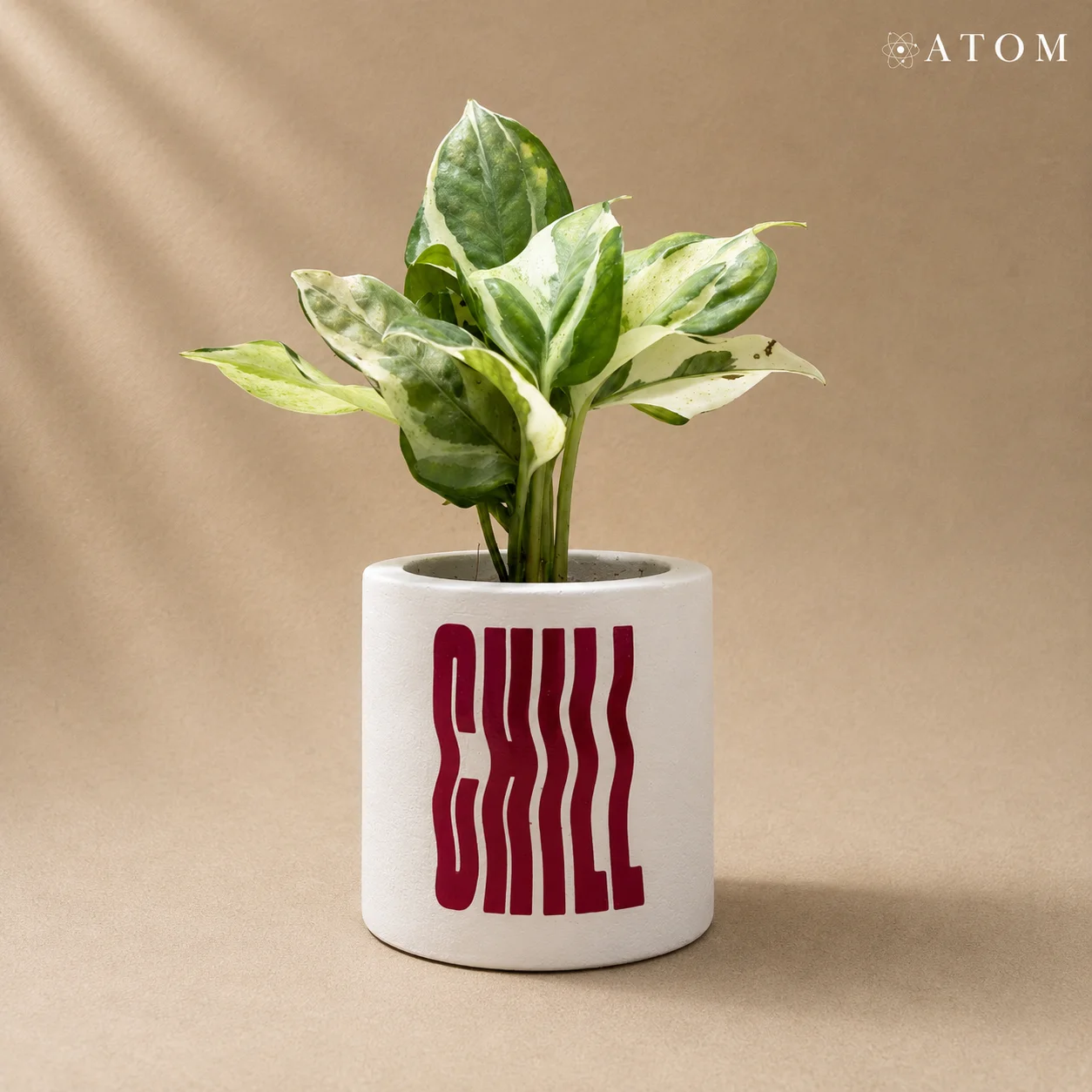 Chill Planter planter