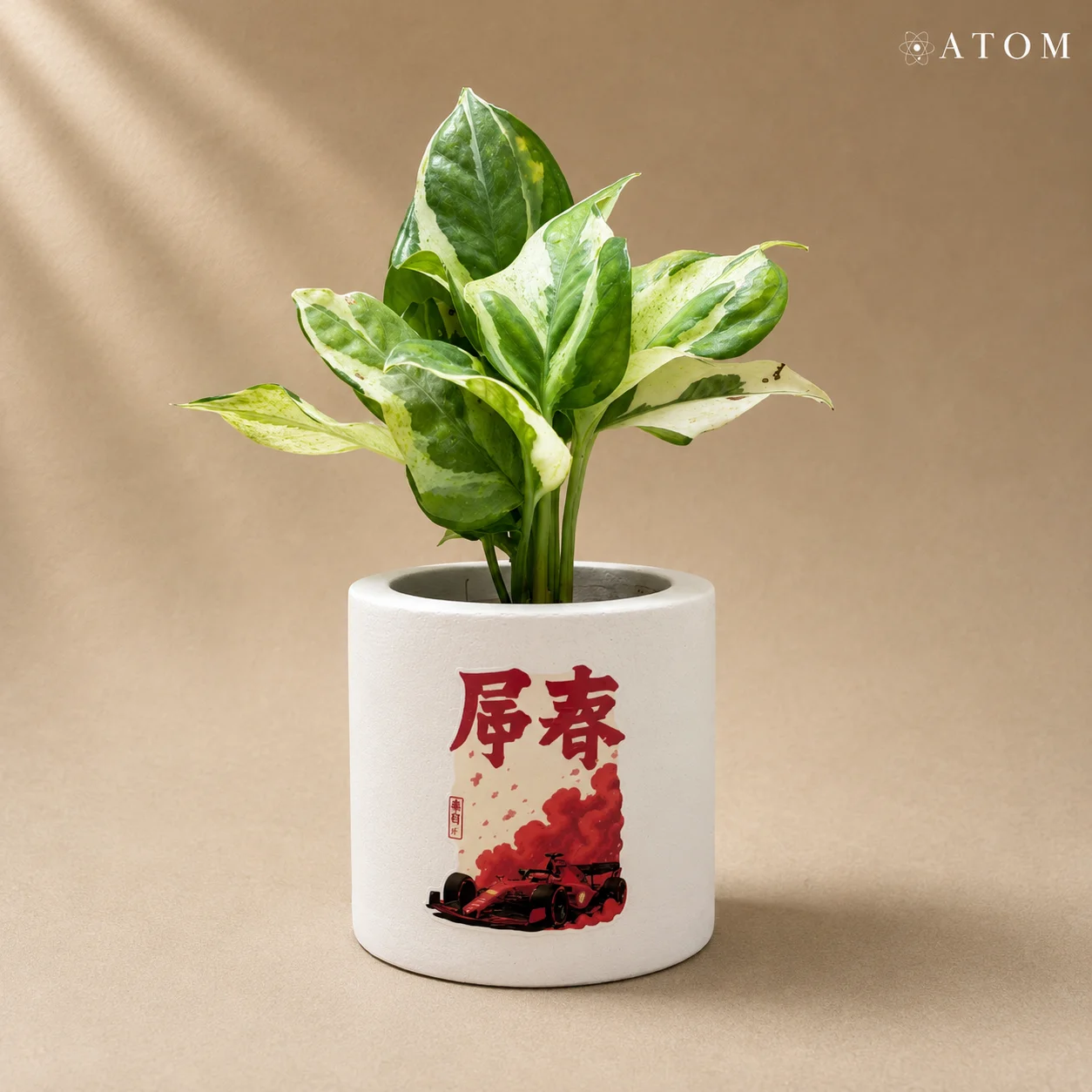 Fast Car Planter planter