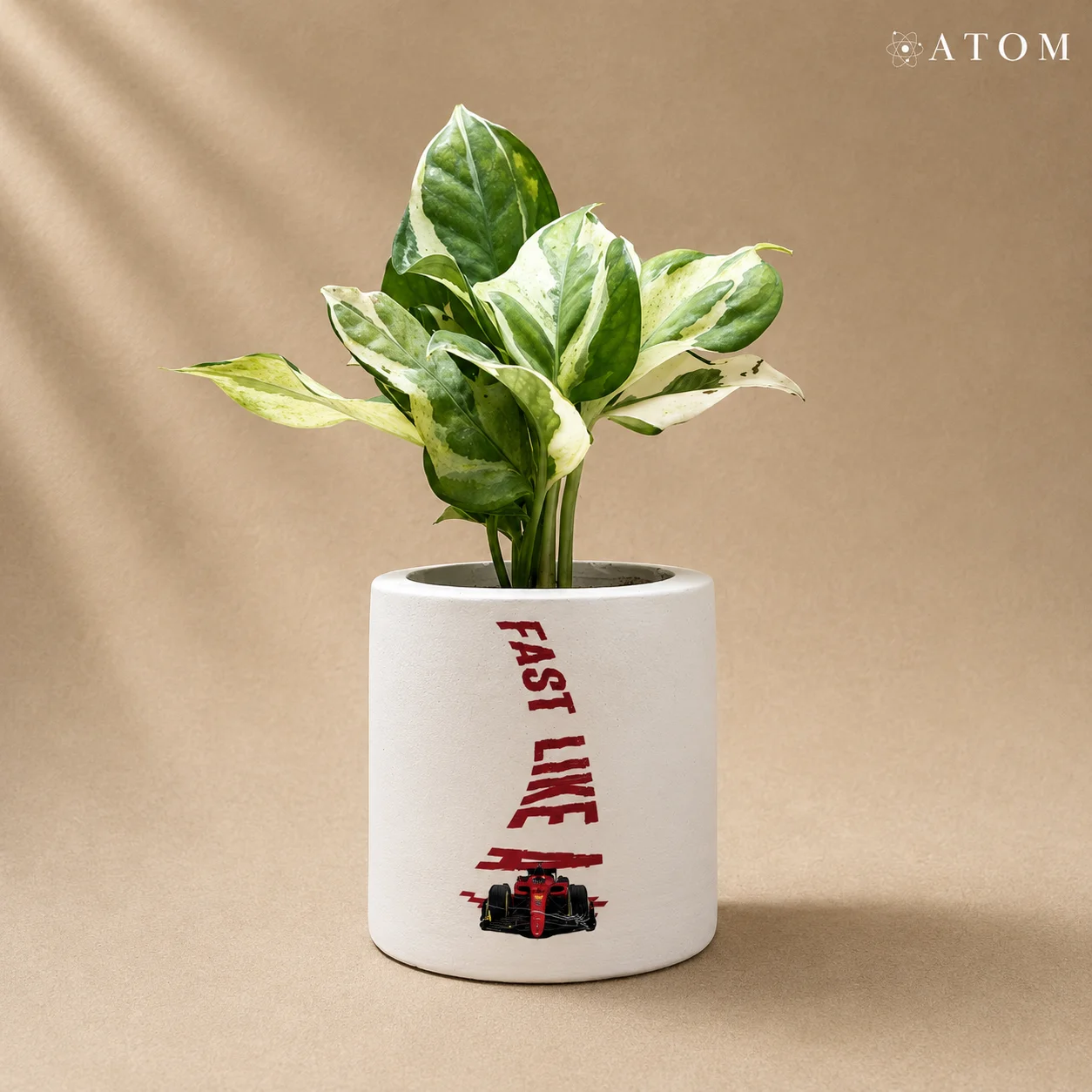 Fast Like Planter planter