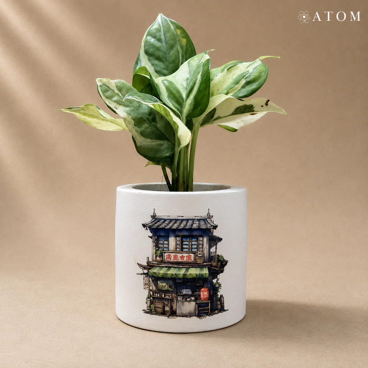 House Planter planter