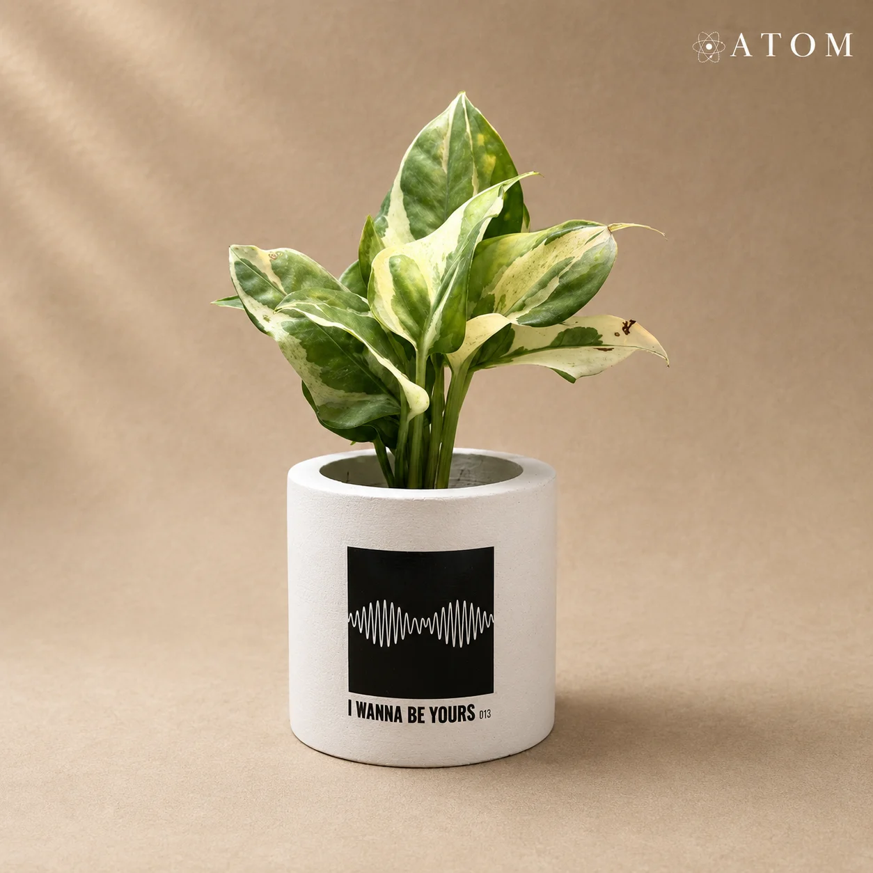 I Wanna Be Yours planter