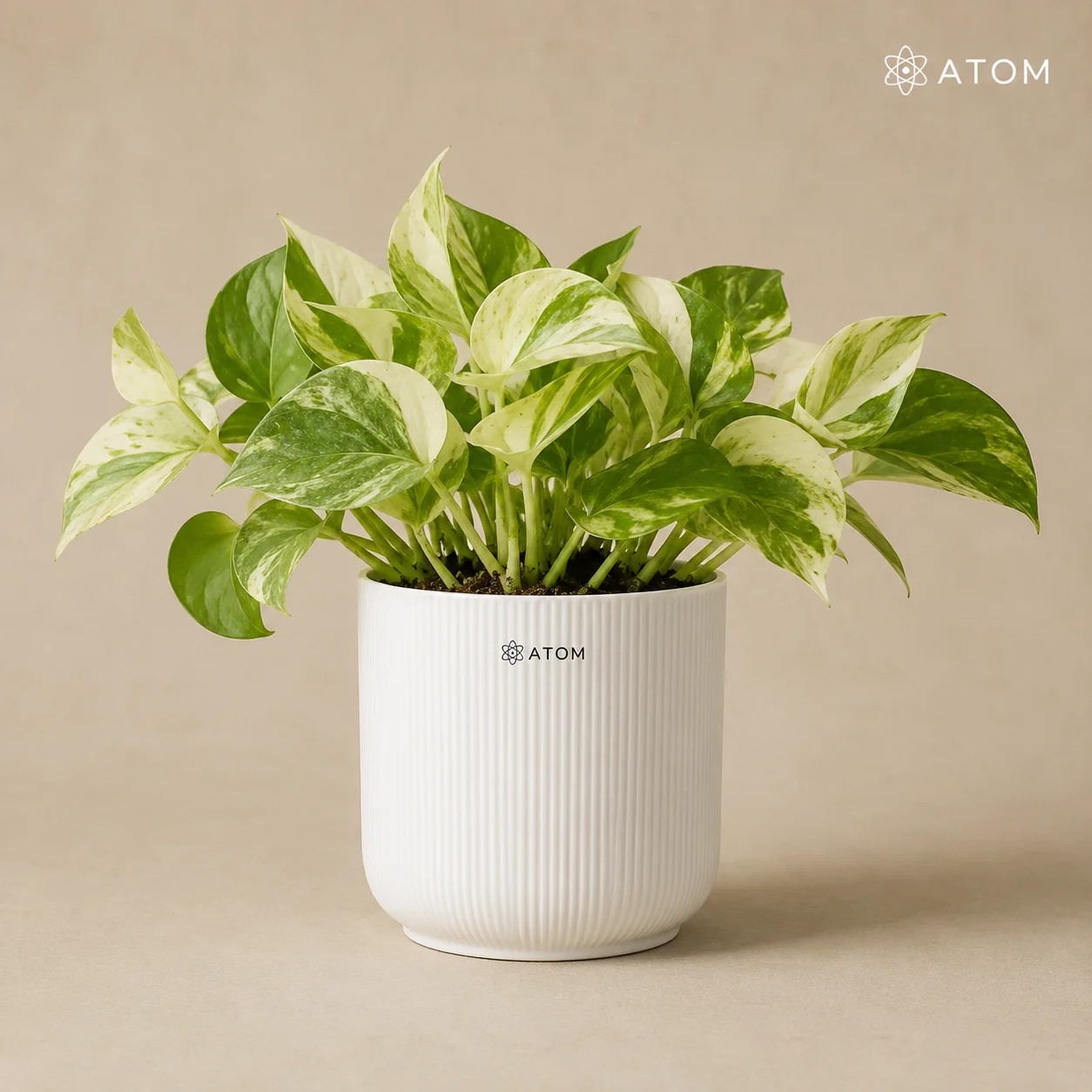 Ibiza Planter planter