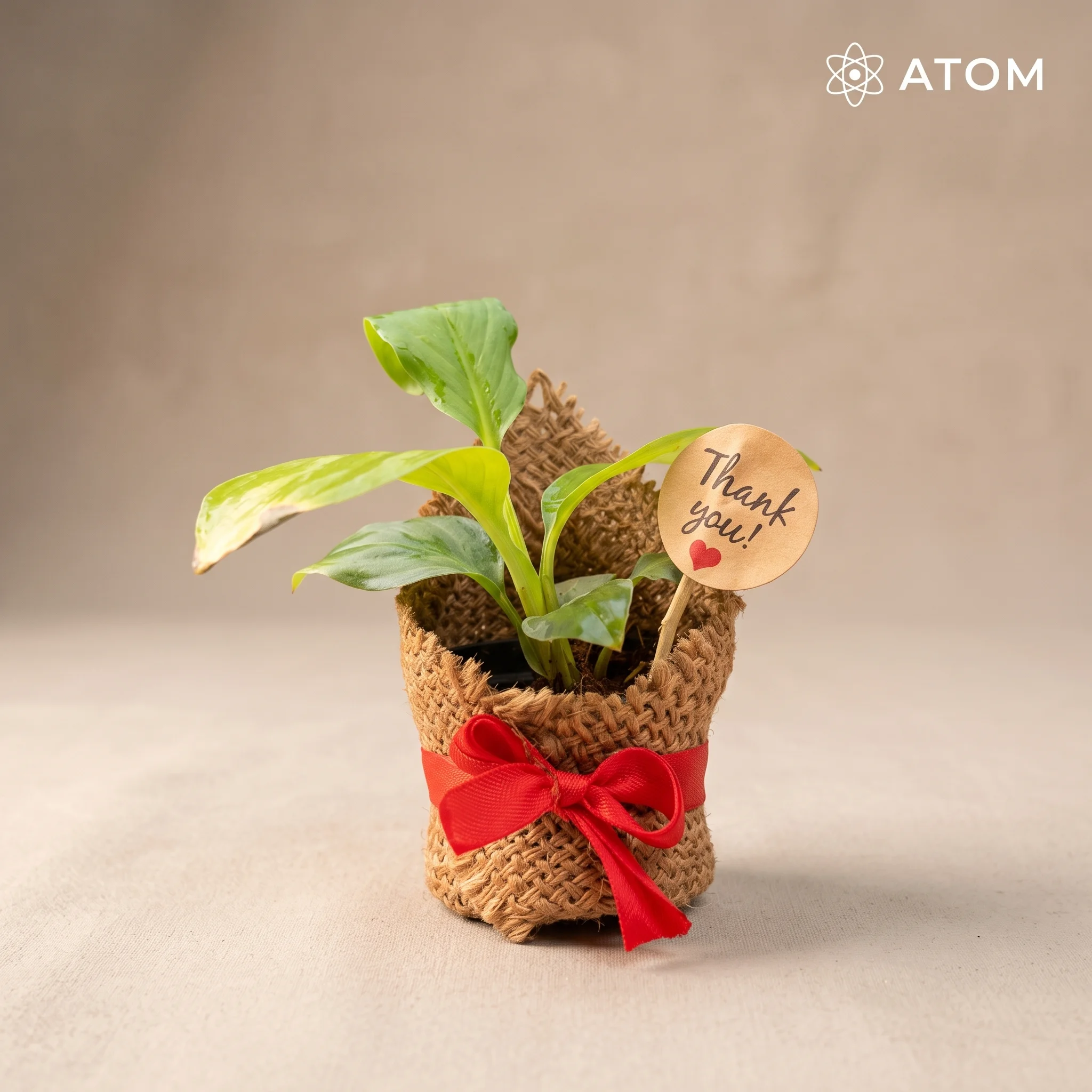 Signature Jute Pot planter