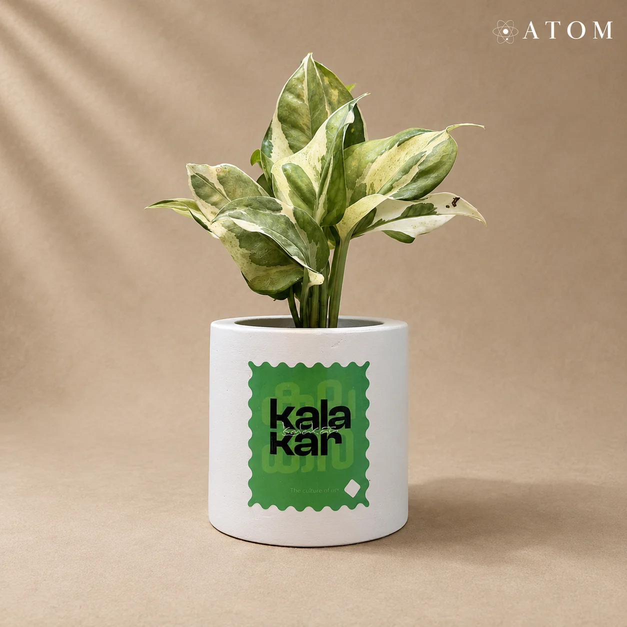 Kala Kar Planter planter