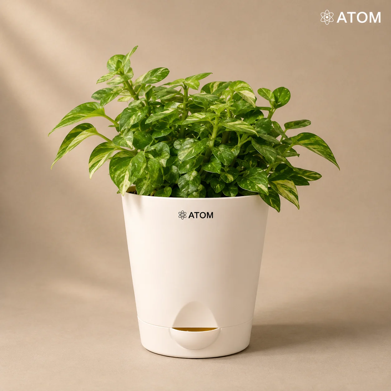 Krish Planter planter