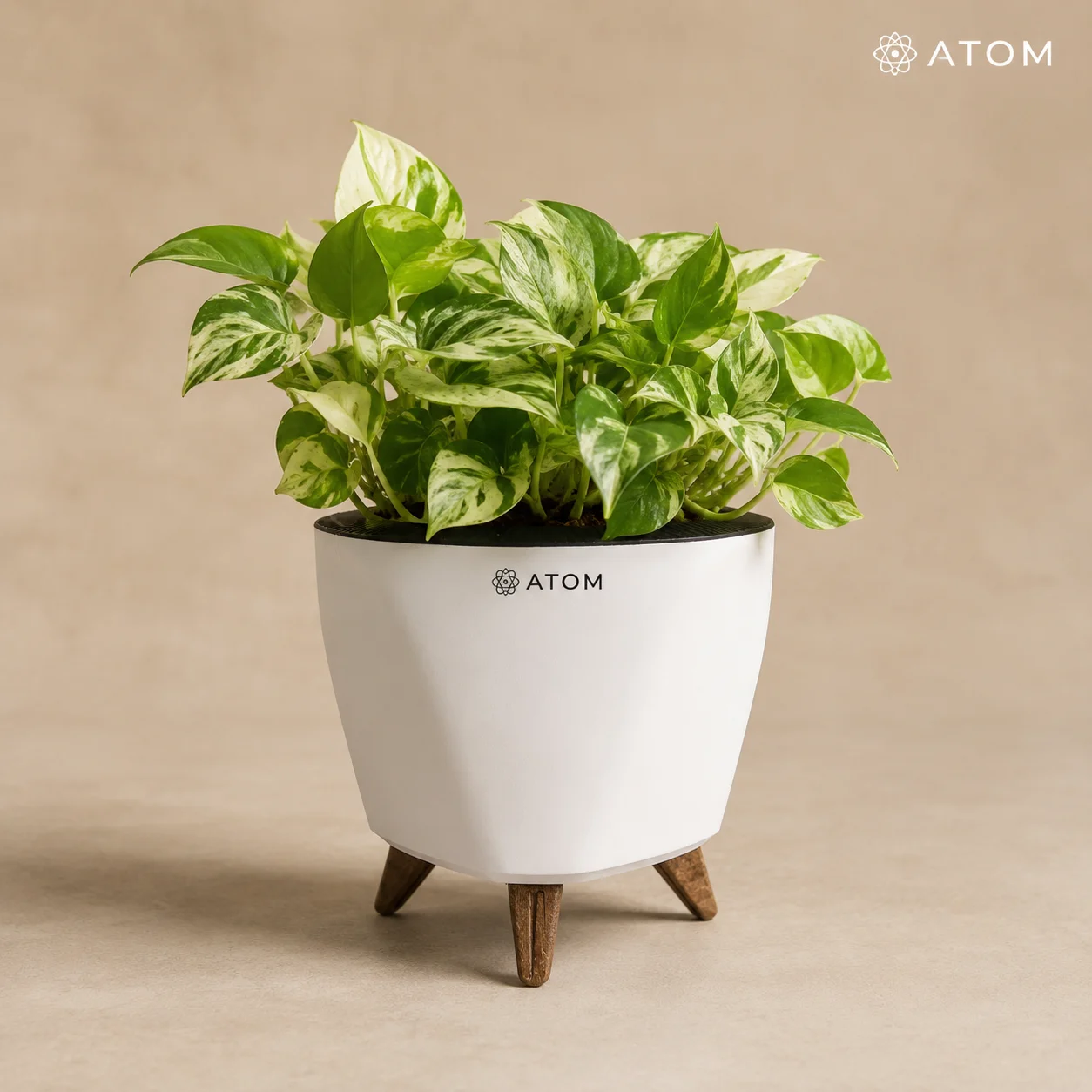 Lagos Planter planter