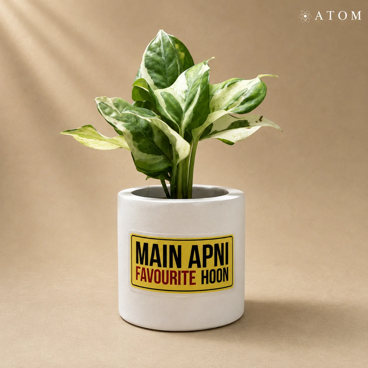 Main Apni Favourite Hoon planter