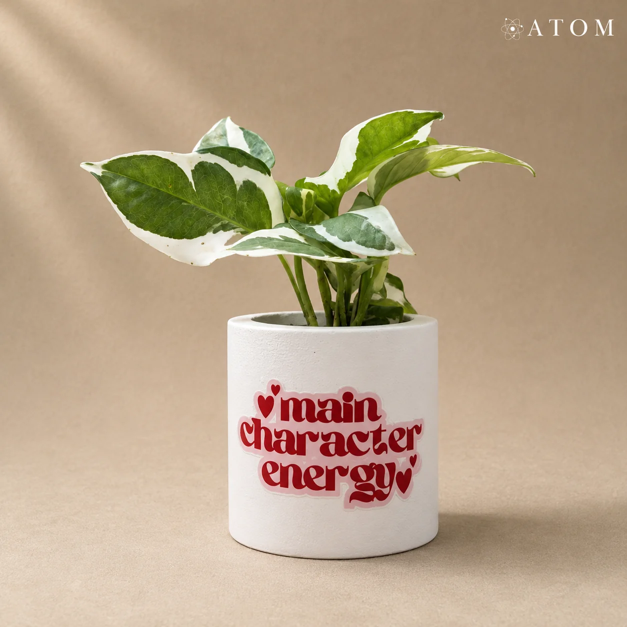 Main Character Energy planter