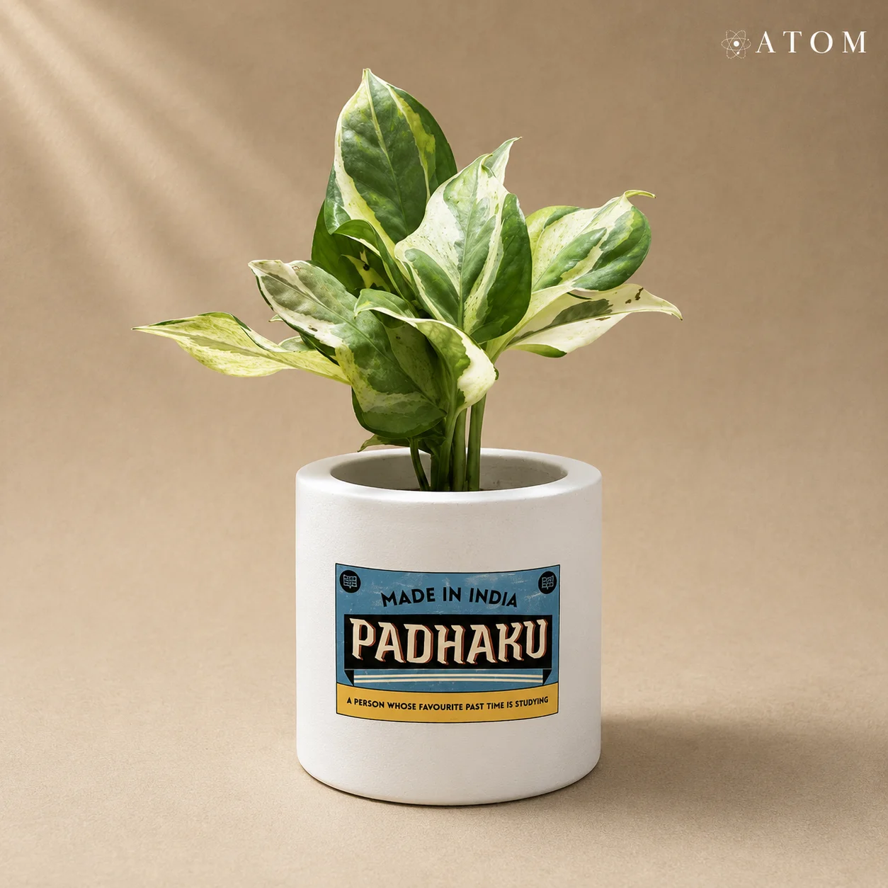 StuDying Planter planter