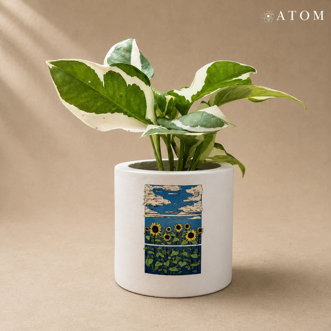 You Are My Sunshine planter