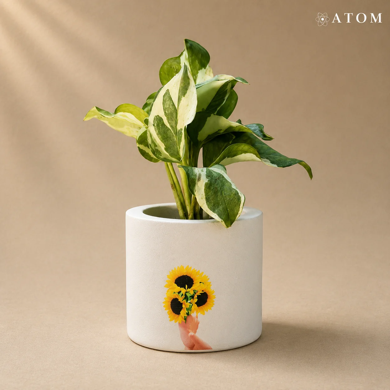 Sunflowers Duo planter