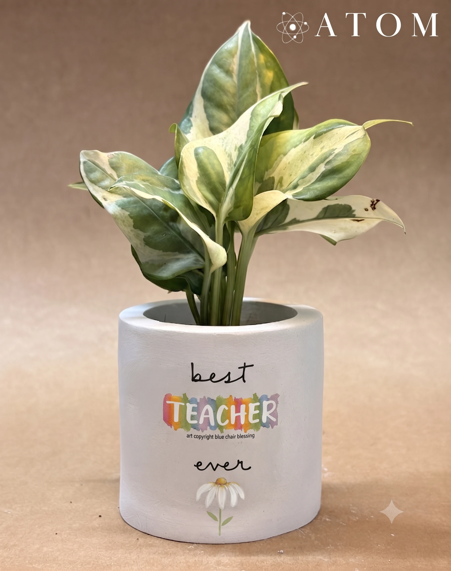 Best Teacher Ever Planter planter