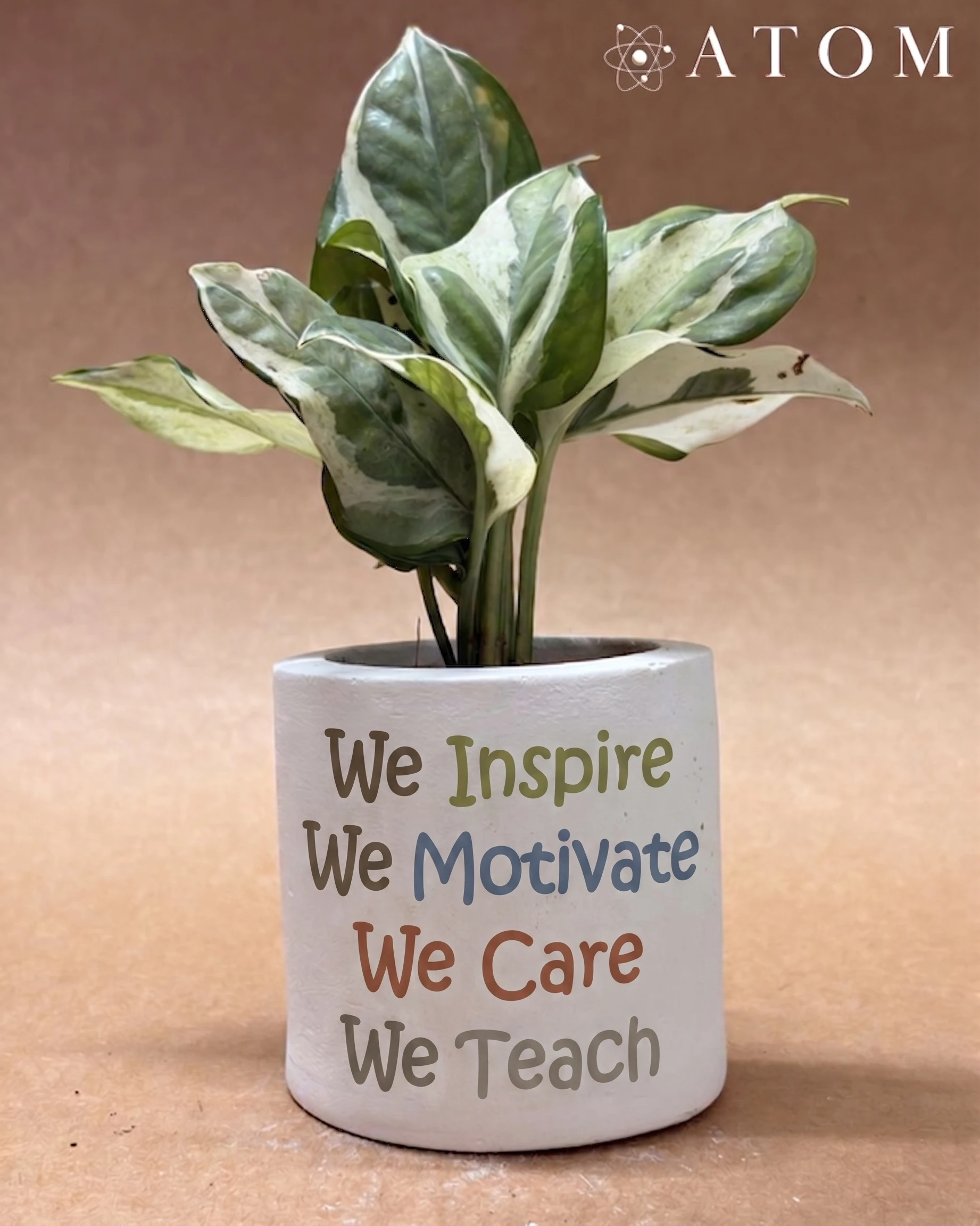 Educator's Creed Planter planter
