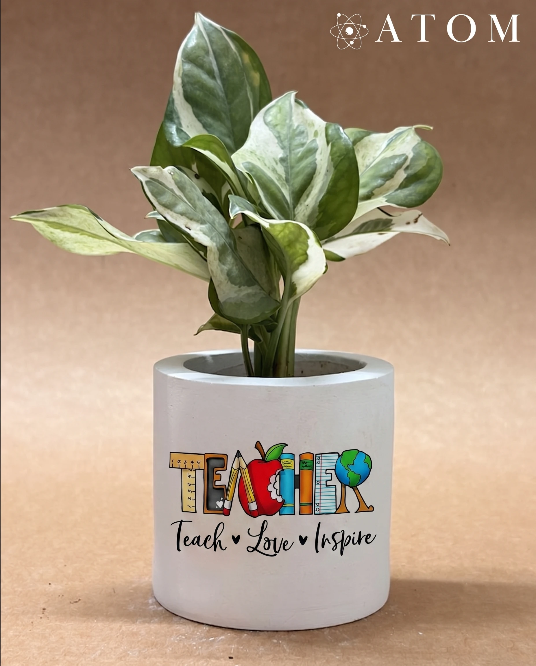 Teach Love Inspire Planter planter