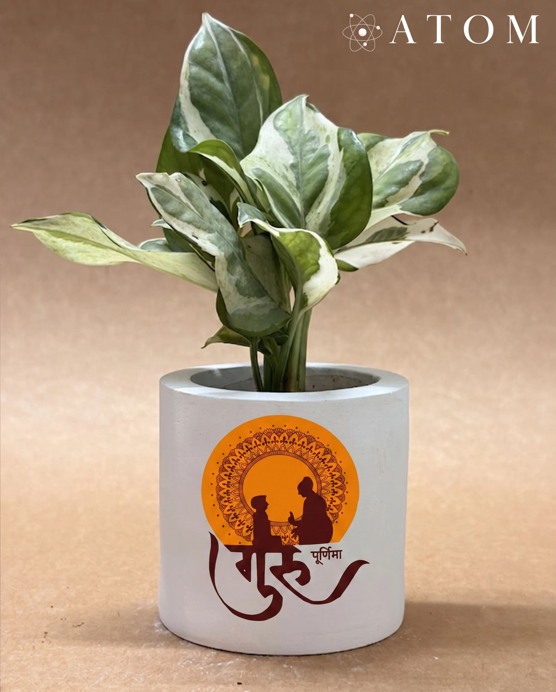 Guru Purnima Planter planter