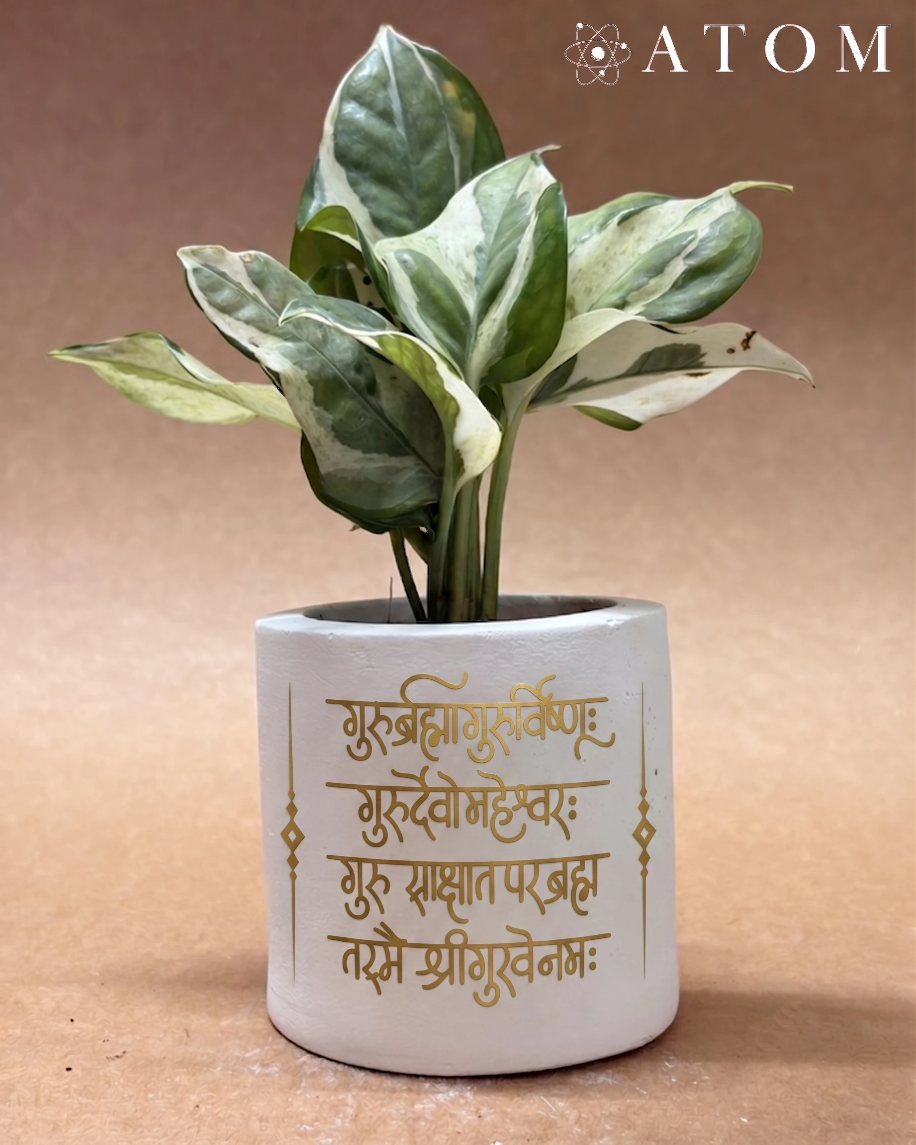 Gurur Brahma Planter planter