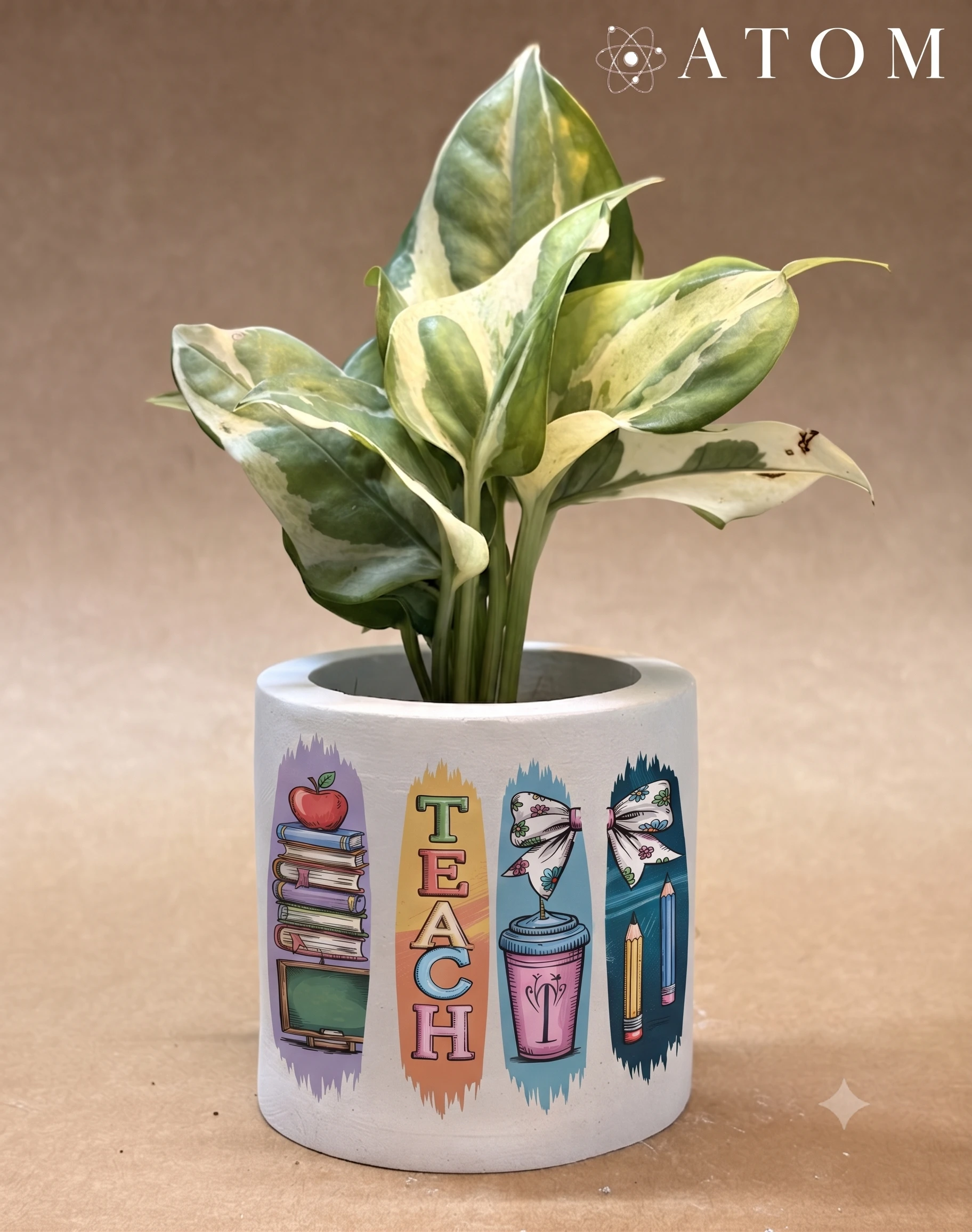 Teach Strips Planter planter