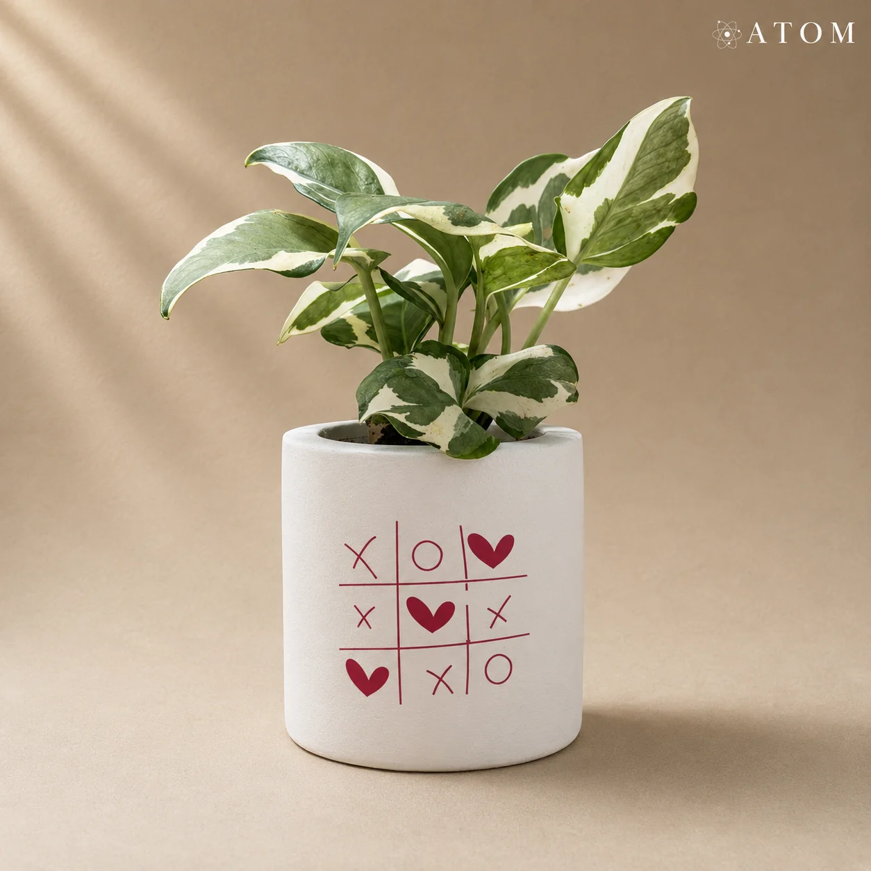 XO Planter planter